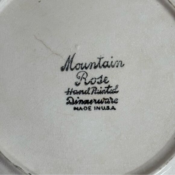 Vintage Blue Ridge Southern Pottery
Mountain Rose Dinner Plate - Picture 4 of 5